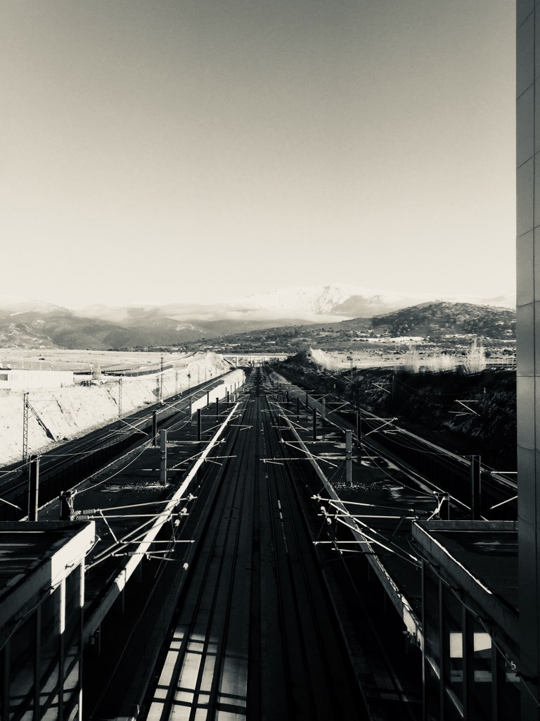 Pocas son las veces en que nos detenemos a observar y analizar ¿quiénes somos?, ¿ dónde estamos? y ¿a dónde queremos llegar.  
Es como si viajáramos en un tren que va a toda máquina.  
En este momento yo me he bajado del tren para verlo pasar y descubrir ¿qué es lo que vengo cargando dentro de  mi maleta? Es necesario seguir llevando este peso sobre mí? ¿Qué debo soltar? ¿Qué me falta por echar en esta maleta? ¿A dónde me dirijo? ¿Estoy en el camino correcto?
Son tantas y tantas  las preguntas que llegan a mí.